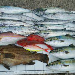 Monster Rush! 釣果