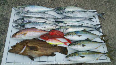 Monster Rush! 釣果