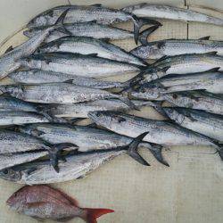 Monster Rush! 釣果