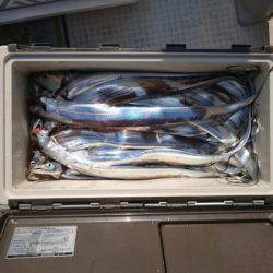 フィッシング　キッタカ 釣果