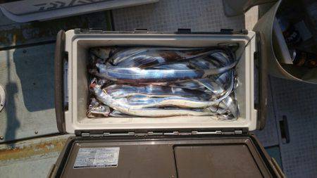 フィッシング　キッタカ 釣果