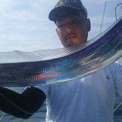 サンマリン 釣果