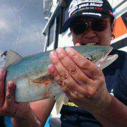 第三共栄丸 釣果