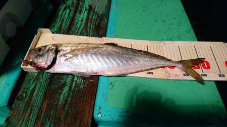 和栄丸 釣果