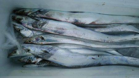 サンマリン 釣果