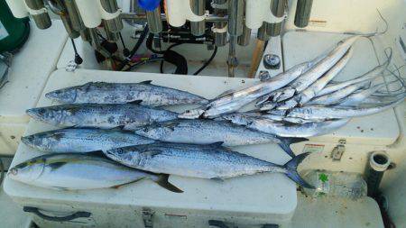 Monster Rush! 釣果