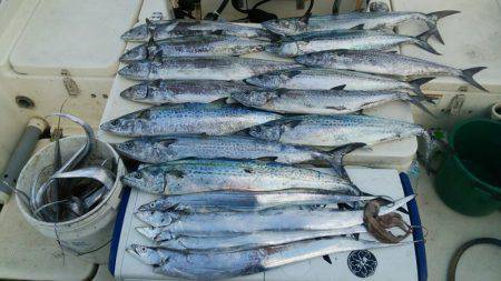 Monster Rush! 釣果