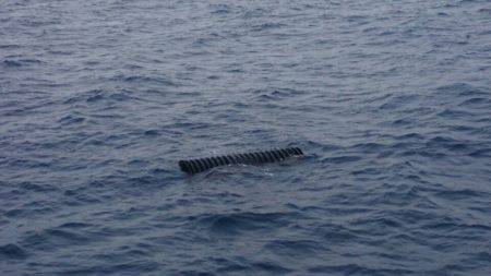 第三共栄丸 釣果