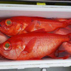 金沢八景鴨下丸 釣果