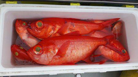 金沢八景鴨下丸 釣果