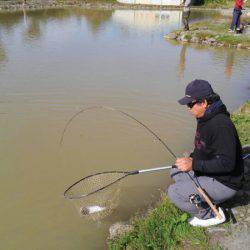 つりぼりあかし 釣果