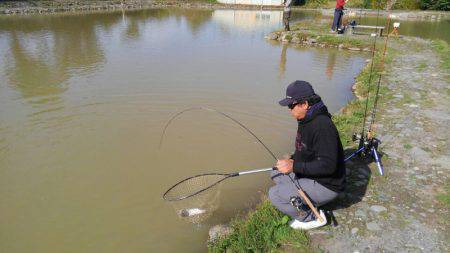 つりぼりあかし 釣果