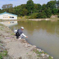 つりぼりあかし 釣果