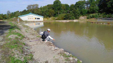 つりぼりあかし 釣果