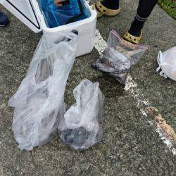 あみや渡船 釣果