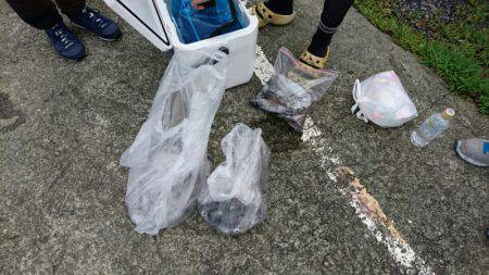 あみや渡船 釣果