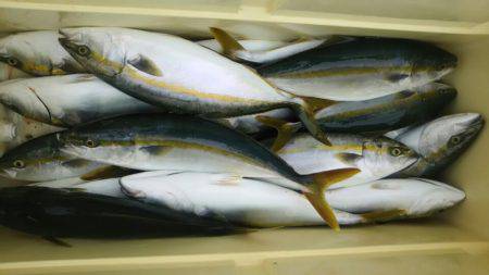 サンマリン 釣果