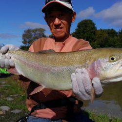 つりぼりあかし 釣果