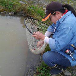 つりぼりあかし 釣果