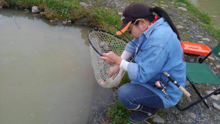 つりぼりあかし 釣果