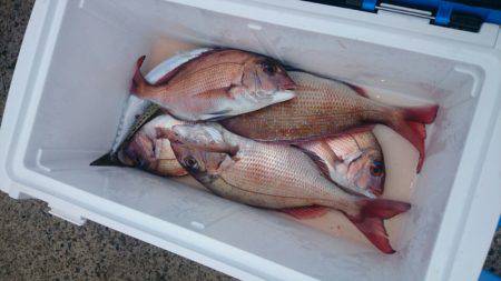 第三共栄丸 釣果