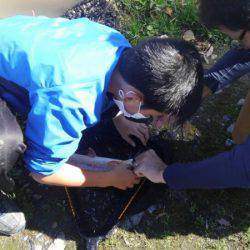 つりぼりあかし 釣果