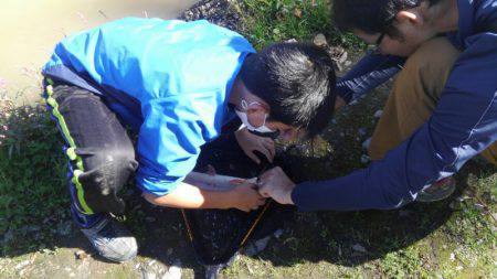 つりぼりあかし 釣果