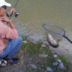 つりぼりあかし 釣果