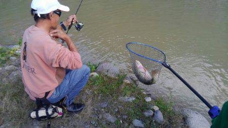 つりぼりあかし 釣果