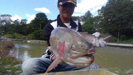 つりぼりあかし 釣果