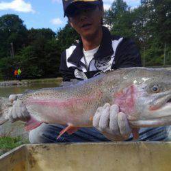 つりぼりあかし 釣果