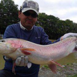 つりぼりあかし 釣果