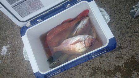 第三共栄丸 釣果