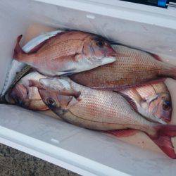 第三共栄丸 釣果