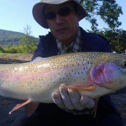 つりぼりあかし 釣果