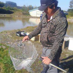 つりぼりあかし 釣果