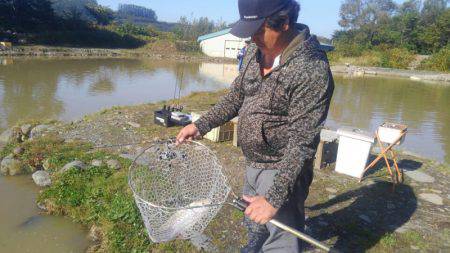 つりぼりあかし 釣果