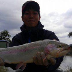 つりぼりあかし 釣果