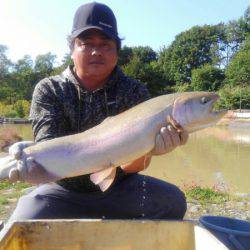 つりぼりあかし 釣果