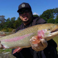 つりぼりあかし 釣果