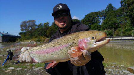 つりぼりあかし 釣果