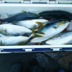 Monster Rush! 釣果