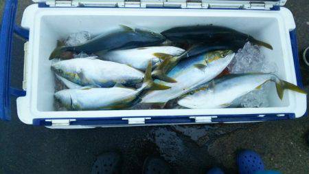 Monster Rush! 釣果