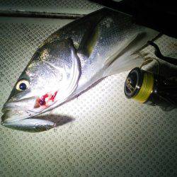 Monster Rush! 釣果