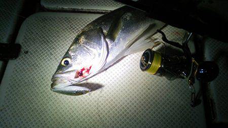 Monster Rush! 釣果