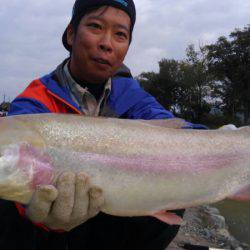 つりぼりあかし 釣果