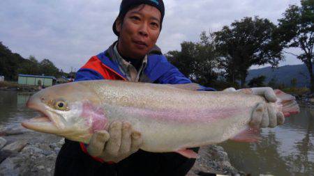 つりぼりあかし 釣果