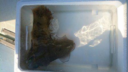 あみや渡船 釣果