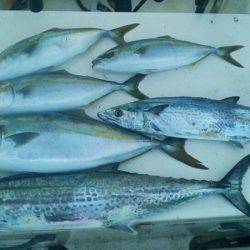 Monster Rush! 釣果