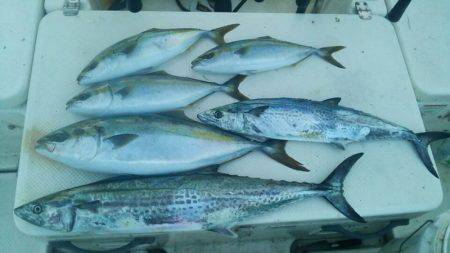 Monster Rush! 釣果